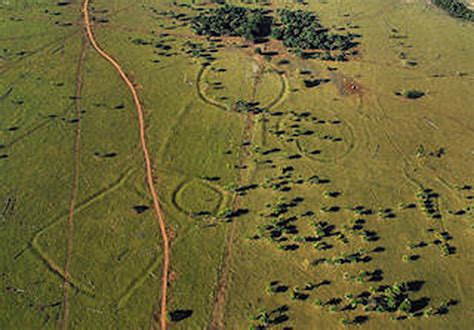  「アマゾンの蛇」：古代ブラジル文明の知恵と自然への畏敬